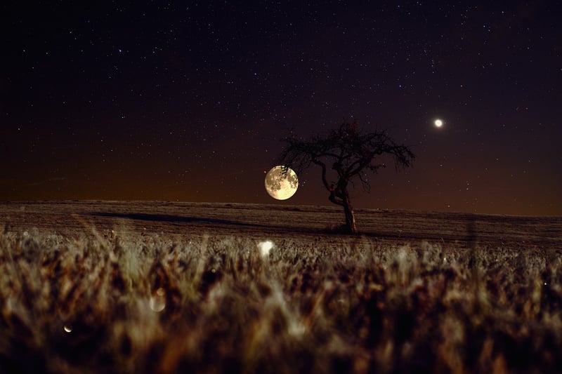 Lunar Phase Wall Art